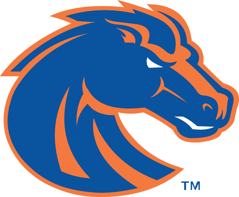 Boise State Broncos 2002-2012 Secondary Logo v2 diy DTF decal sticker